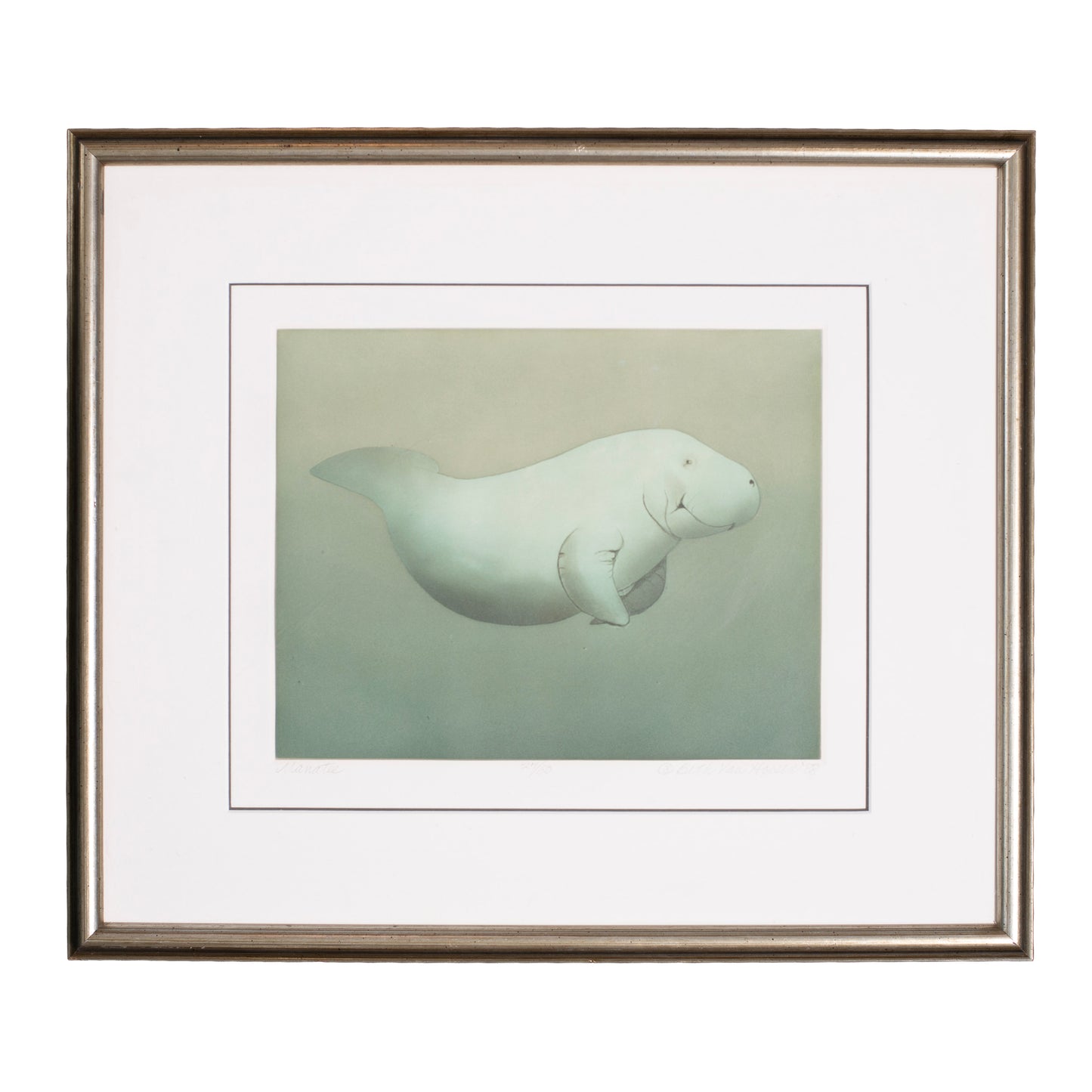Framed art print of manatee. 