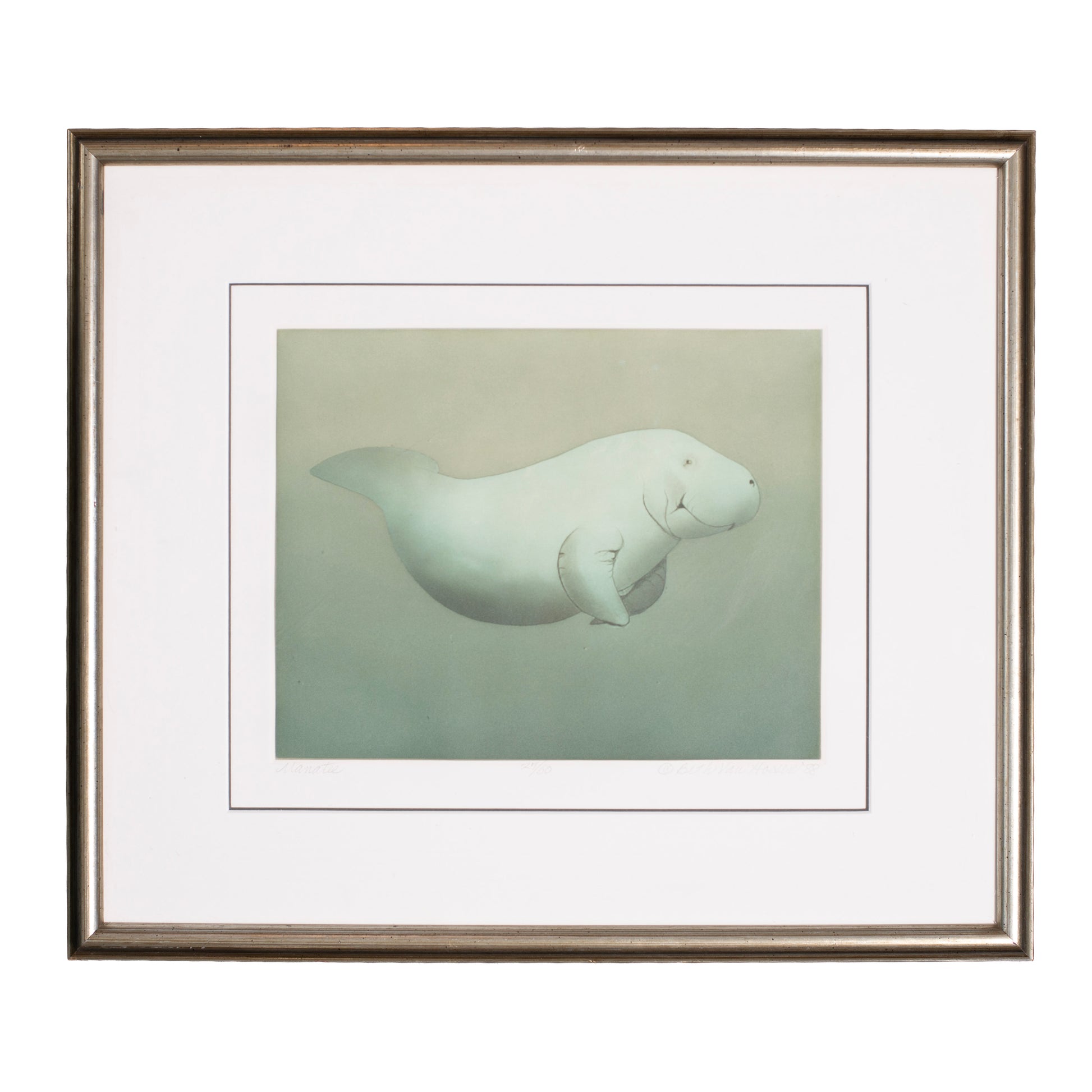 Framed art print of manatee. 