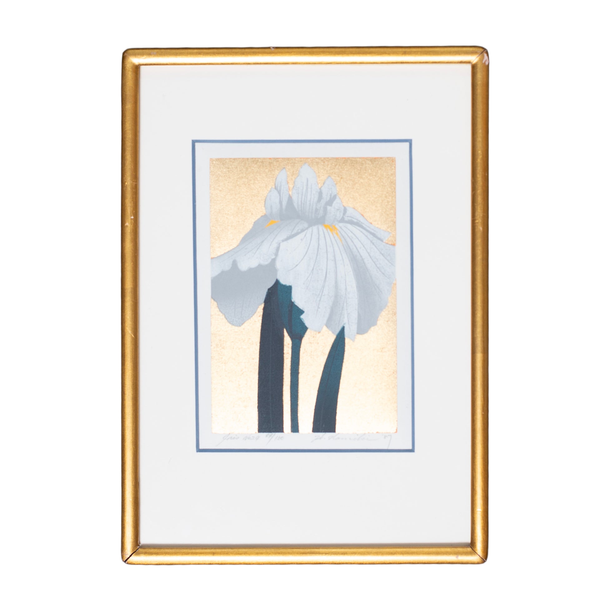 Framed artwork of a blue flower on a white background