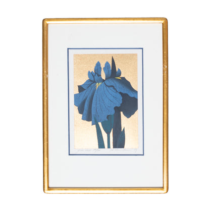 Framed artwork of a blue flower on a white background