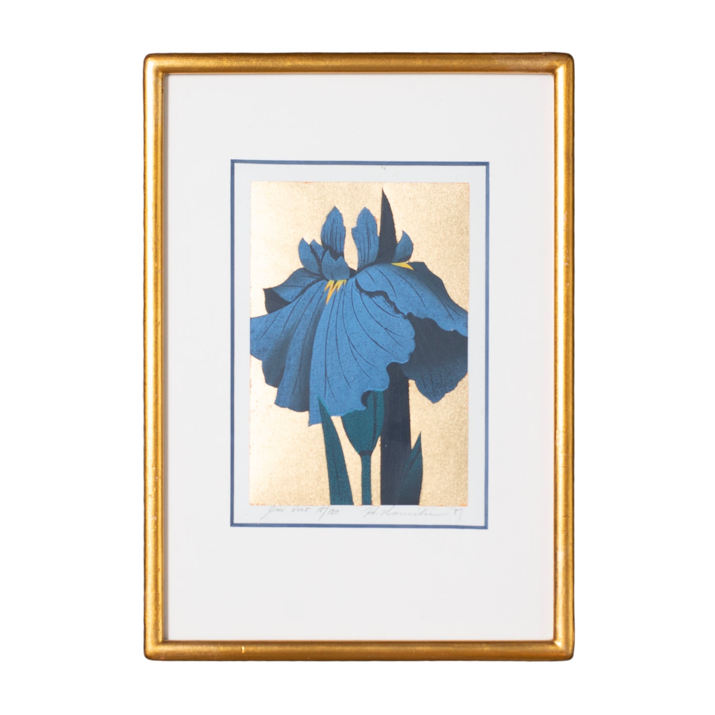 Framed artwork of a blue flower on a white background