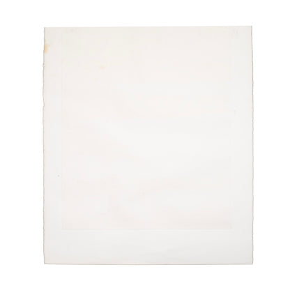 White sheet of paper on a white background
